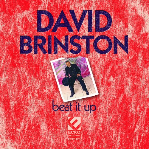 David Brinston - Beat It Up (2010)