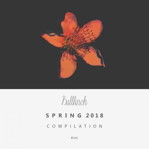 VA - Bullfinch Spring 2018 Compilation (2018)