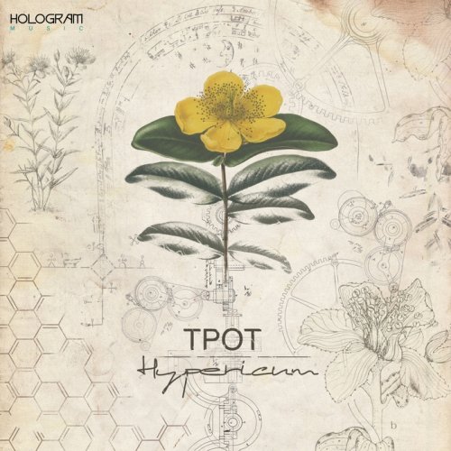 TPOT - Hypericum (2018)