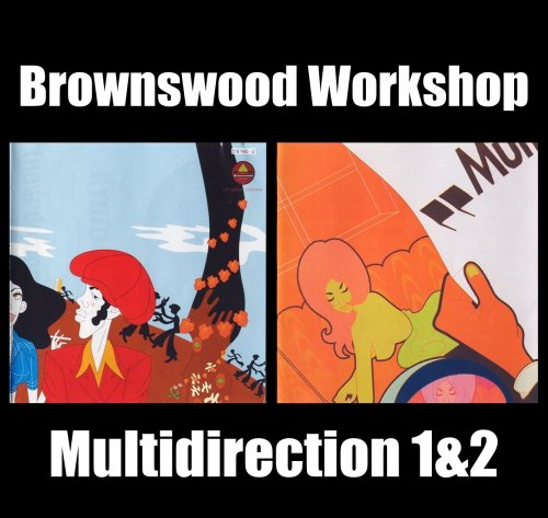 VA - Brownswood Workshop: Multidirection Vol.1-2 (1994-1995)