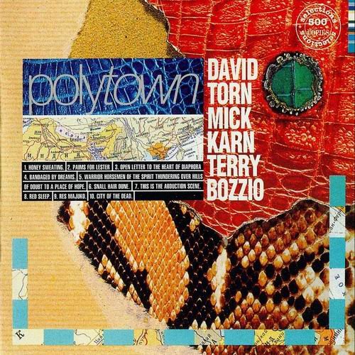 David Torn, Mick Karn, Terry Bozzio  - Polytown (1994) 320 kbps+CD Rip
