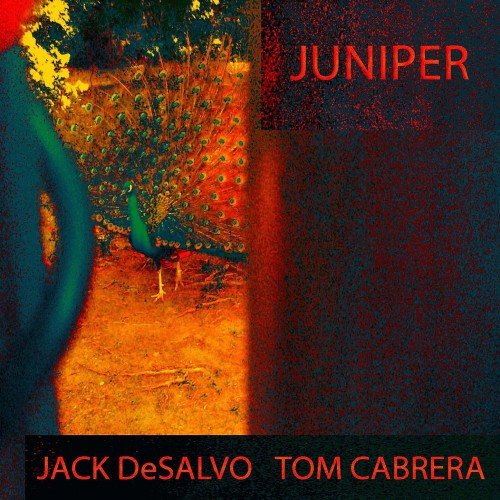 Jack DeSalvo, Tom Cabrera - Juniper (2014/2018) [HDTracks]