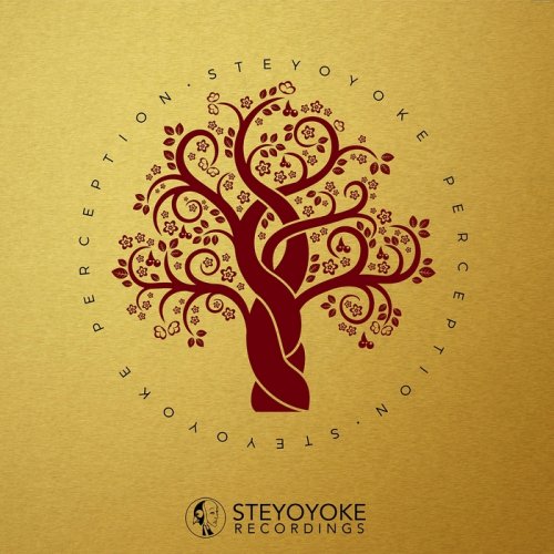 VA - Steyoyoke Perception Vol 3 (2018)