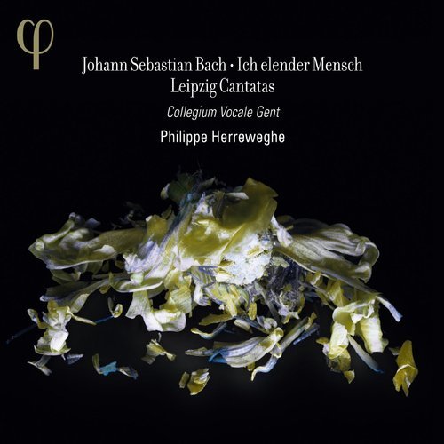Collegium Vocale Gent, Philippe Herreweghe - J.S.Bach: Ich elender Mensch - Leipzig Cantatas (2013)