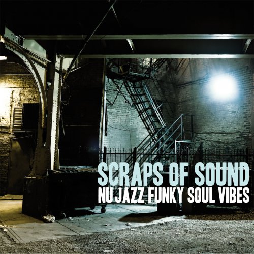 VA - Scraps of Sounds (2018) lossless