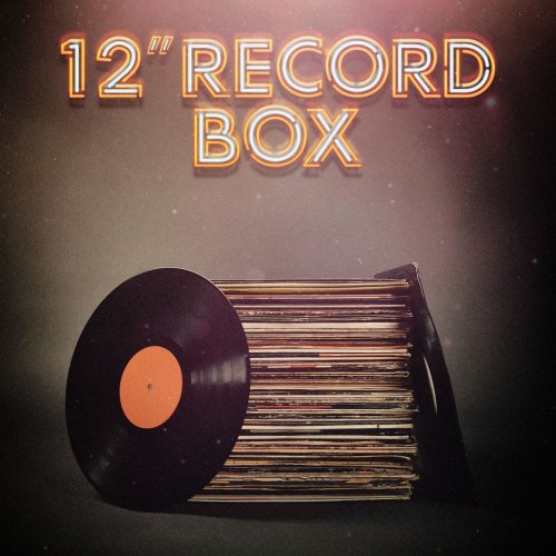 VA - 12" Record Box (2018)