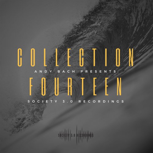 VA - Society 3.0 Recordings/Collection Fourteen (2018)