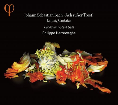 Collegium Vocale Gent, Philippe Herreweghe - J.S.Bach: Ach süßer Trost! - Leipzig Cantatas (2012)