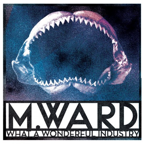 M. Ward - What a Wonderful Industry (2018) [CD-Rip]