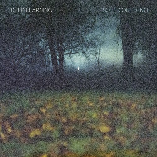 DEEP LEARNING - Soft Confidence (2018)