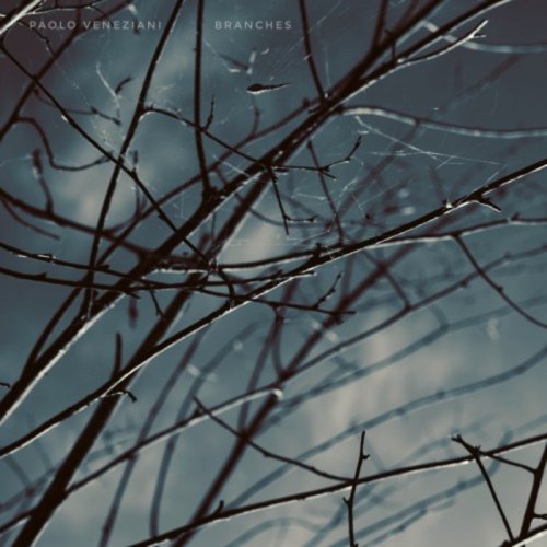 Paolo Veneziani - Branches (2018)