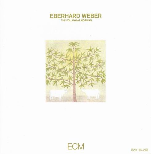 Eberhard Weber - The Following Morning (1977)