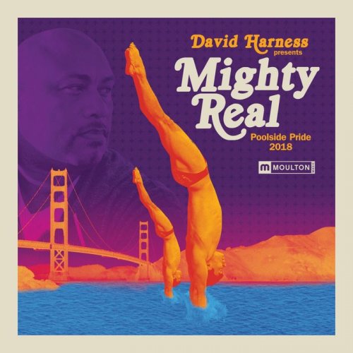 David Harness - Mighty Real Poolside Pride (2018)