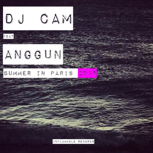 Dj Cam - Summer in Paris 2015 (feat. Anggun) (2015) [Hi-Res]