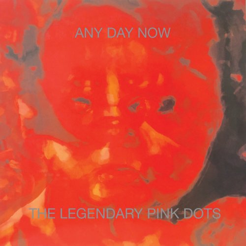 The Legendary Pink Dots - Any Day Now (Remastered & Expanded Edition) (2018/1987)