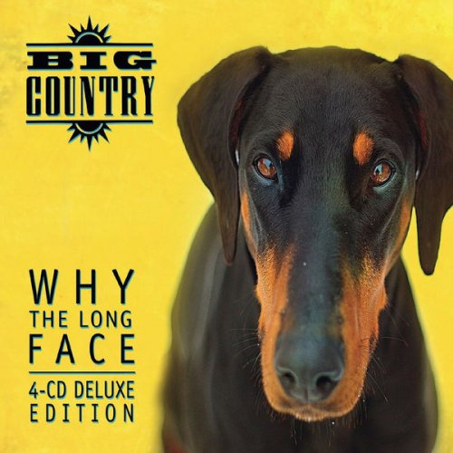 Big Country - Why the Long Face? (2018)