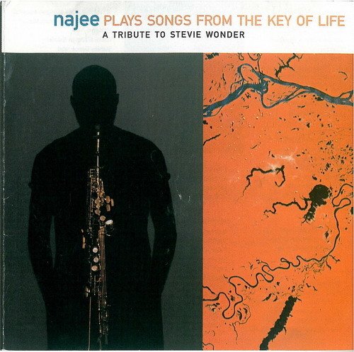 Najee - Najee Plays Songs From The Key of Life (1995)