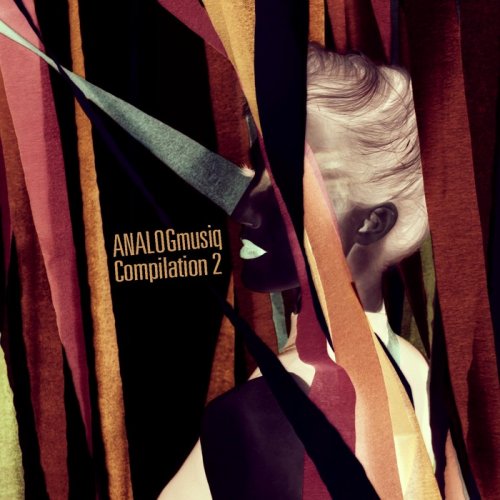 VA - ANALOGmusiq Compilation 2 (2018)
