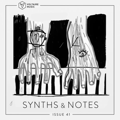 VA - Synths And Notes 41 (2018)