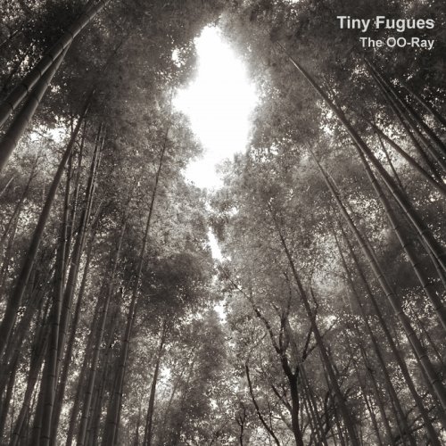 The OO-Ray - Tiny Fugues (2018)