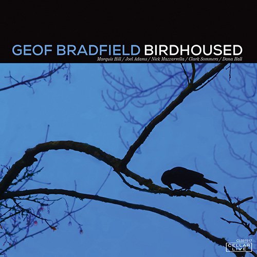 Geof Bradfield - Birdhoused (2017) FLAC