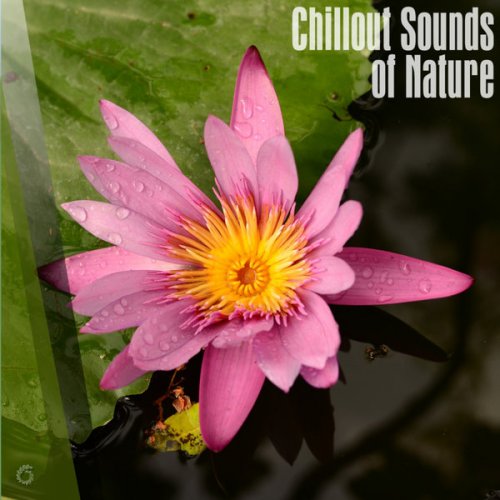 Various Artists - Chillout Sounds Of Nature (2018) FLAC