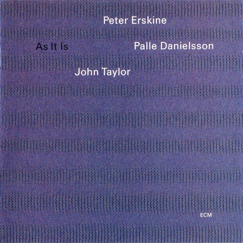 Peter Erskine, Palle Danielsson, John Taylor - As It Is (1996)