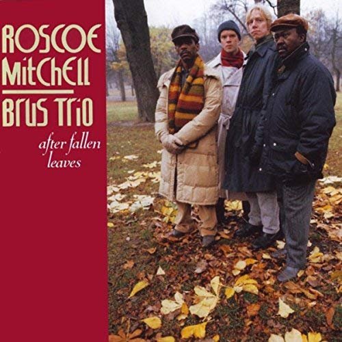 Roscoe Mitchell & Brus Trio - After Fallen Leaves (2018)