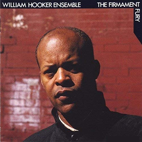 William Hooker Ensemble - The Firmament Fury (2018)