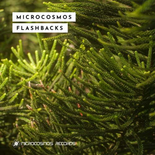 VA - Microcosmos Flashbacks (2018)