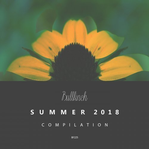 VA - Bullfinch Summer Compilation 2018 (2018)