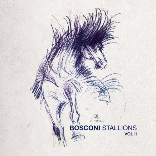 VA - Bosconi Stallions Vol.2 - 10 Years Of Bosconi Records (2018)