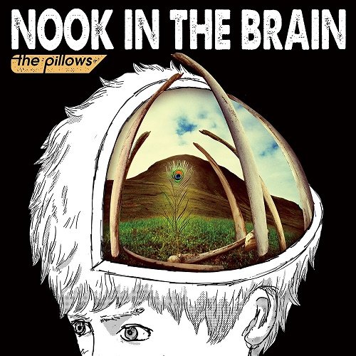 the pillows - NOOK IN THE BRAIN (2017)