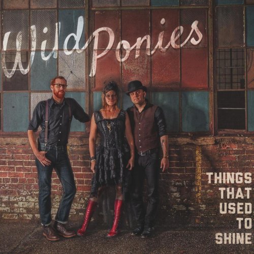 Wild Ponies - Things That Used to Shine (2013)