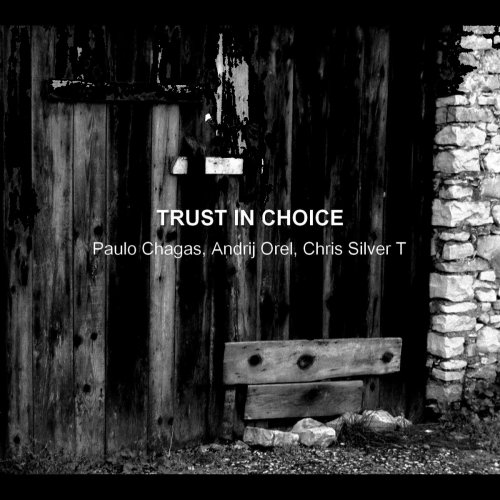 Paulo Chagas, Andrij Orel, Chris Silver T - Trust in Choice (2013)