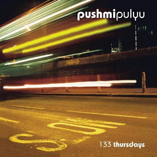 Pushmipulyu - 133 Thursdays (2007) [CDRip]