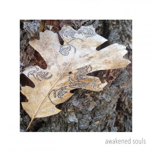 Awakened Souls - Awakened Souls (2018) FLAC