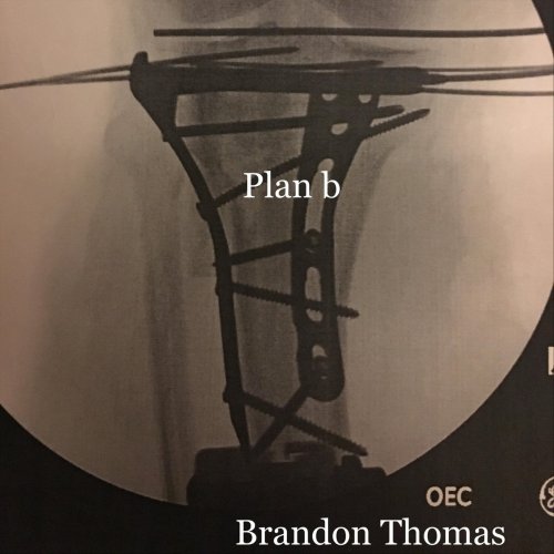Brandon Thomas - Plan B (2018) FLAC
