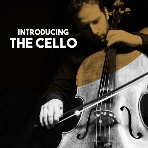 Jörg Metzger & Moscow Chamber Orchestra & Lev Markiz - Introducing: The Cello (2018)