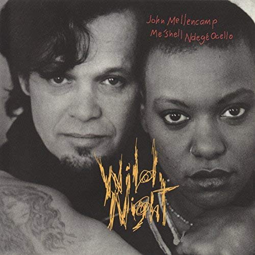 John Mellencamp - Wild Night (1994/2018)