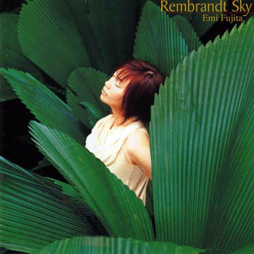 Emi Fujita - Rembrandt Sky (2005)