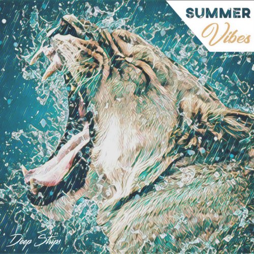 VA - Summer Vibes (2018)