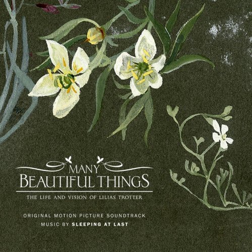Sleeping At Last - Many Beautiful Things (Original Motion Picture Soundtrack) (2015)