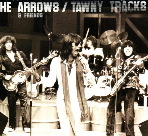 The Arrows & Friends - Tawny Tracks (2002)