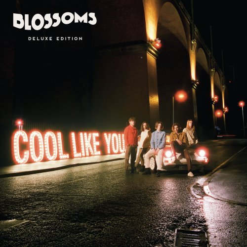 Blossoms - Cool Like You [2CD Deluxe Edition0 (2018) [CD-Rip]
