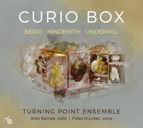 Turning Point Ensemble, Ariel Barnes, Fides Krucker & Owen Underhill - Curio Box (2018)