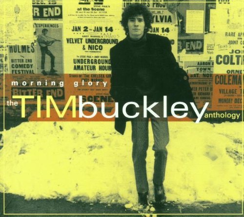 Tim Buckley - Morning Glory: The Tim Buckley Anthology (2CD) (2001)