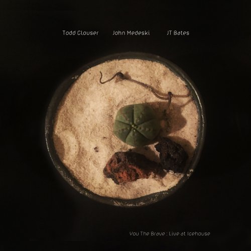 Todd Clouser - You The Brave : Live at Icehouse (2018) lossless