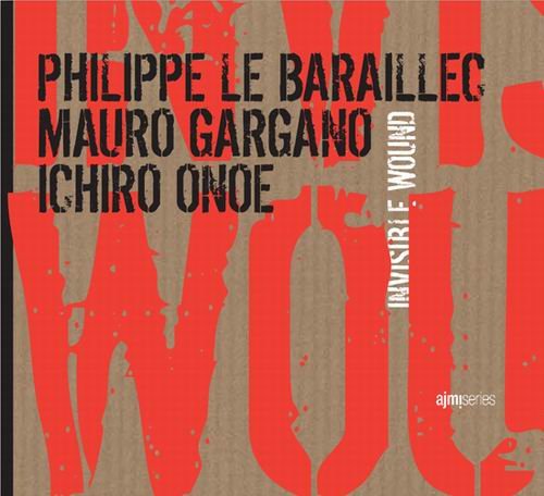 Philippe Le Baraillec - Invisible wound (2009)