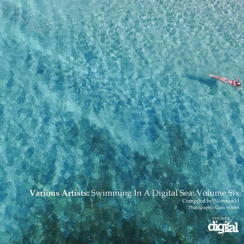 VA - Swimming in a Digital Sea: Volume Six (2018)